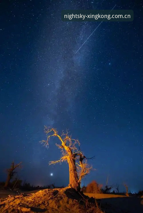 2大入口实测对比：星空中国站旧版兼容哪个好用？别急着删旧版本